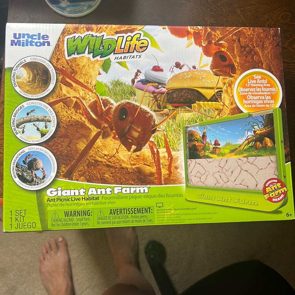 Ant Farm